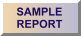 Sample Report